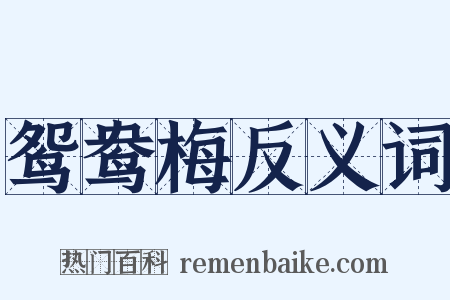 鸳鸯梅反义词是什么意思的图片